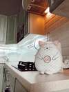 Апартаменты Be My Guest - Apartments for trips Киев-2